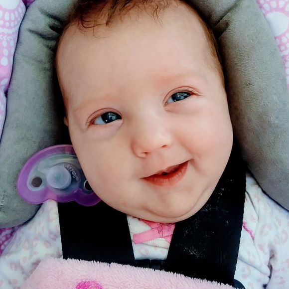 Meet your Posher, Goldie - Picture 1 of 1